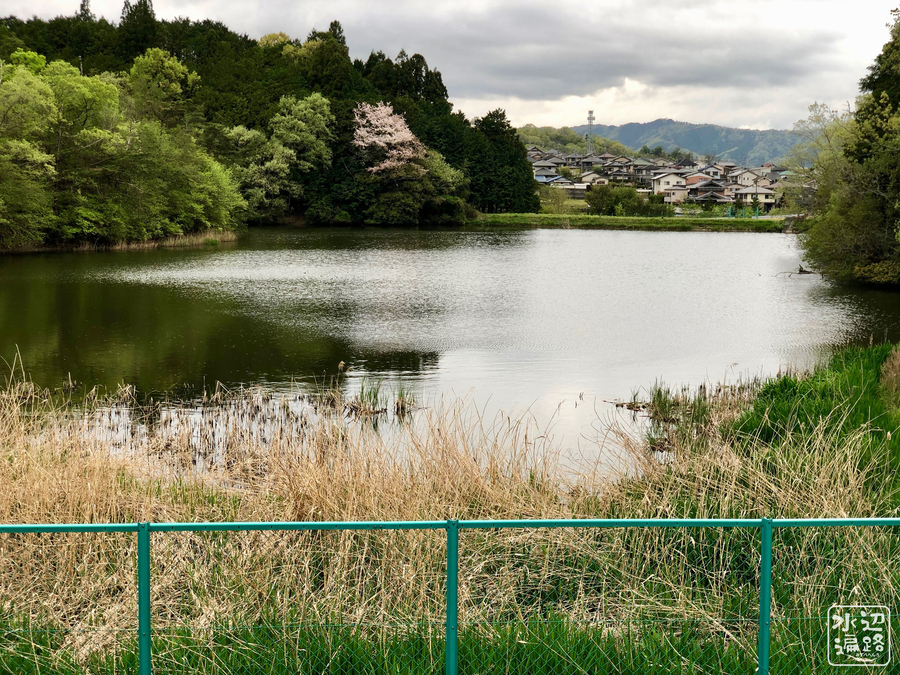 f:id:cippillo:20190430160338j:plain