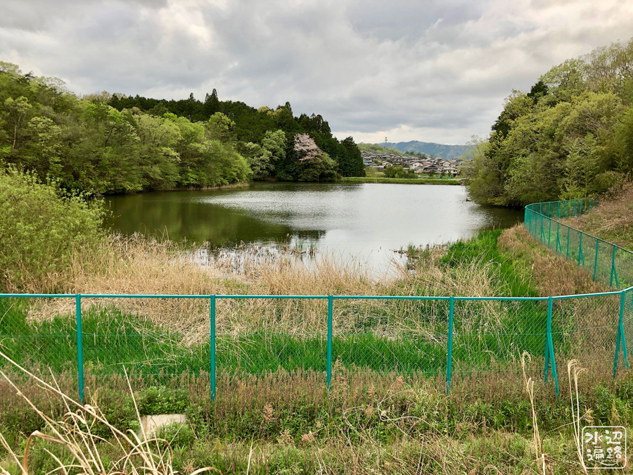 f:id:cippillo:20190430160339j:plain