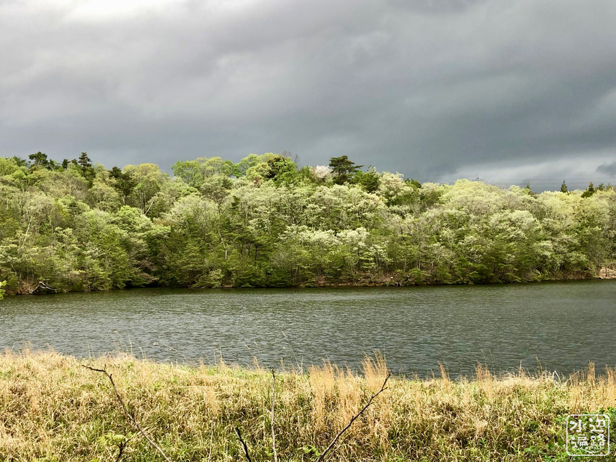 f:id:cippillo:20190430160340j:plain