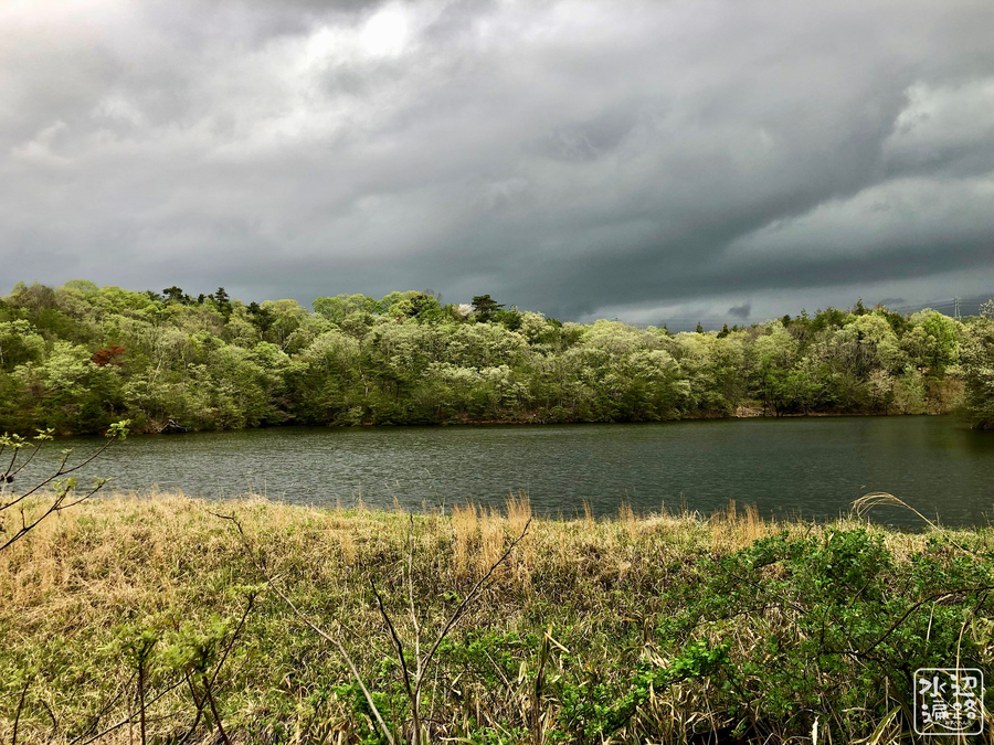 f:id:cippillo:20190430160341j:plain