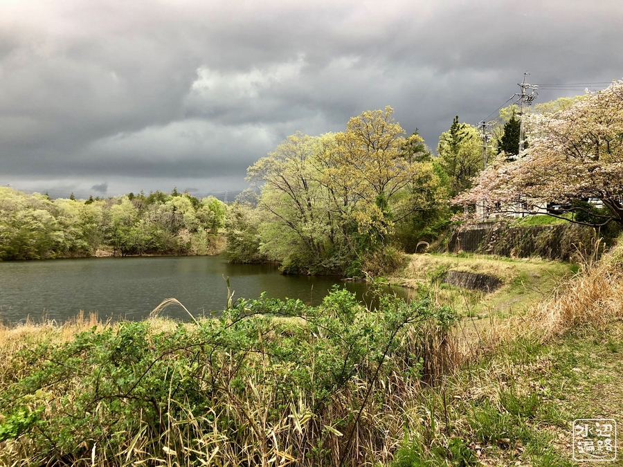 f:id:cippillo:20190430160342j:plain