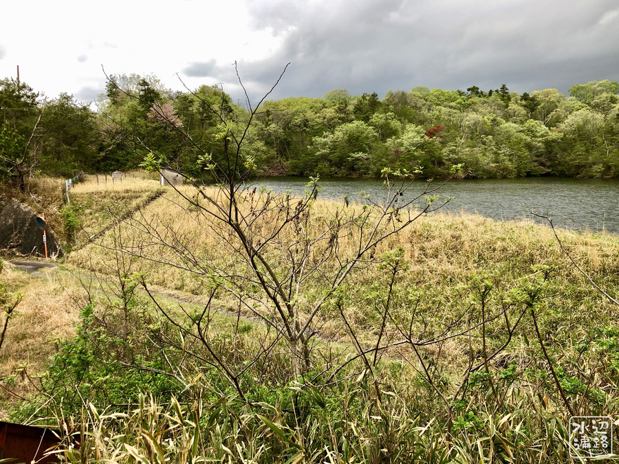 f:id:cippillo:20190430160343j:plain