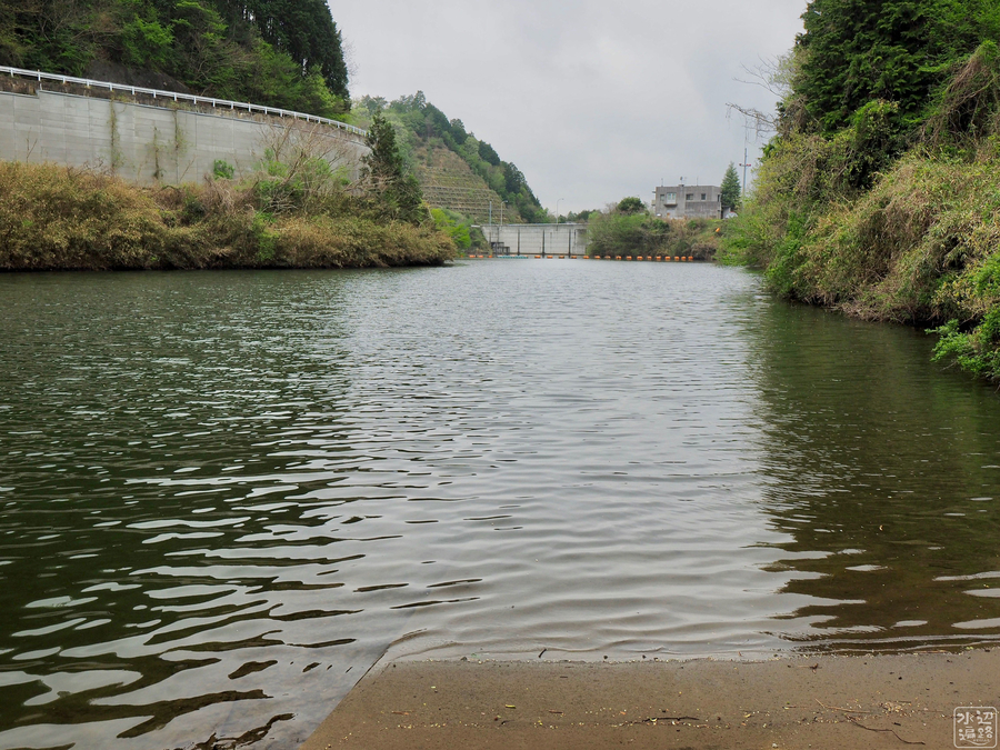 f:id:cippillo:20190430160345j:plain