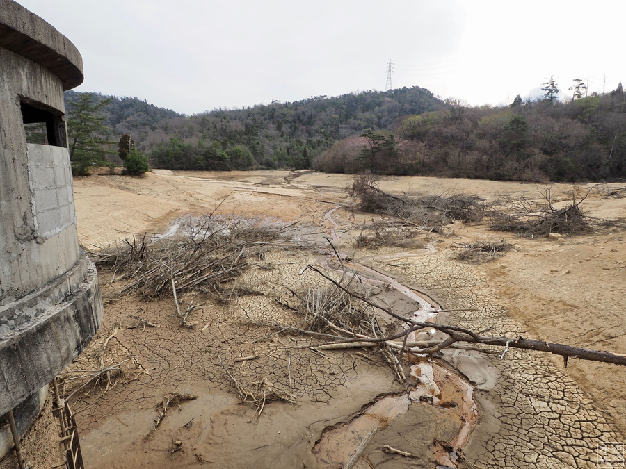 f:id:cippillo:20190502101012j:plain