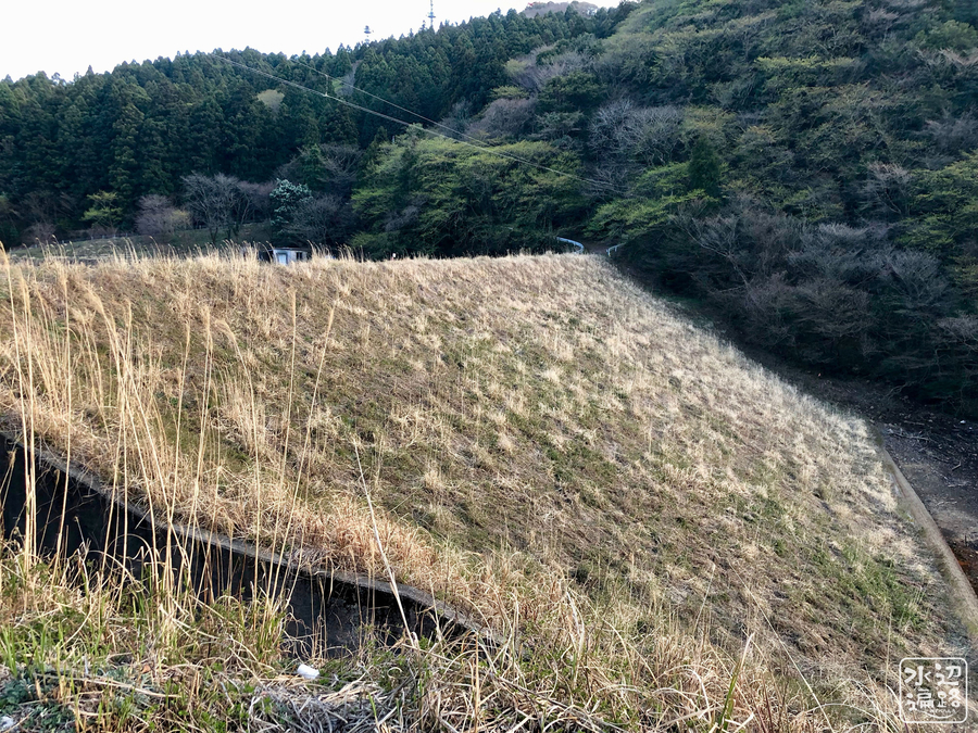 f:id:cippillo:20190502101027j:plain