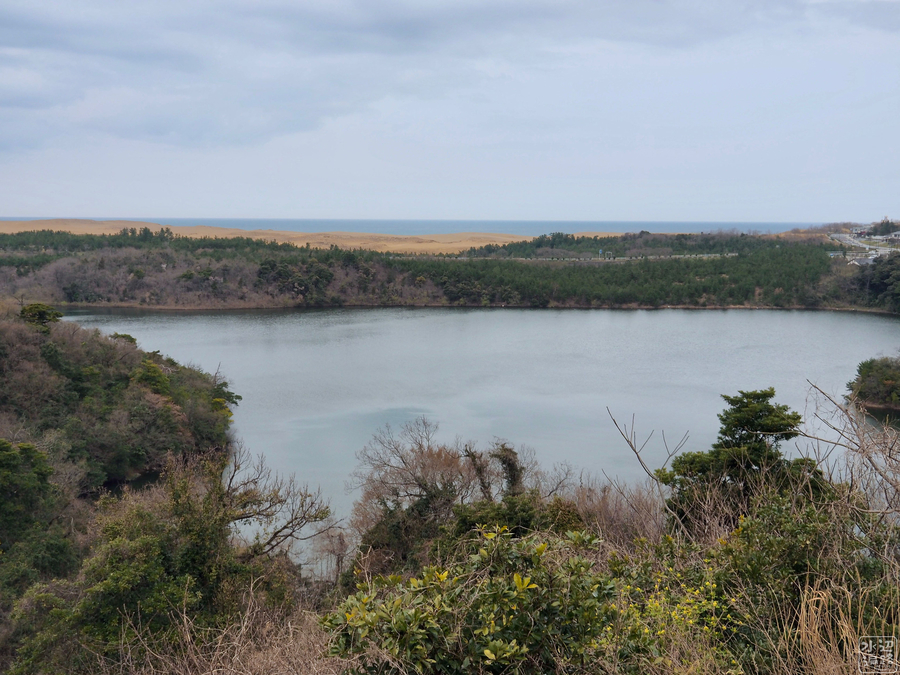 f:id:cippillo:20190502135613j:plain f:id:cippillo:20190502135613j:plain