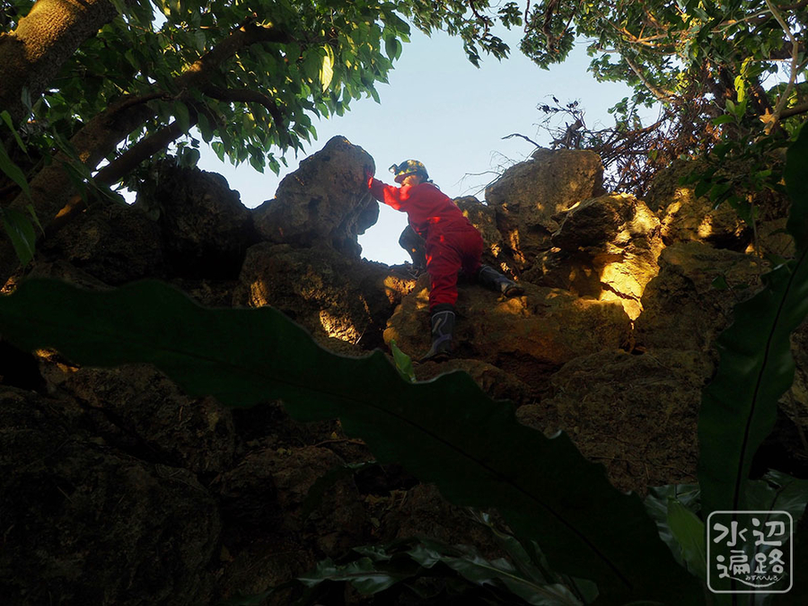 f:id:cippillo:20190502135656j:plain