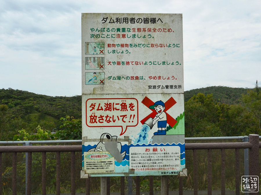 f:id:cippillo:20190506110529j:plain