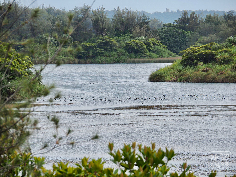 大池 沖縄県南大東 水辺遍路