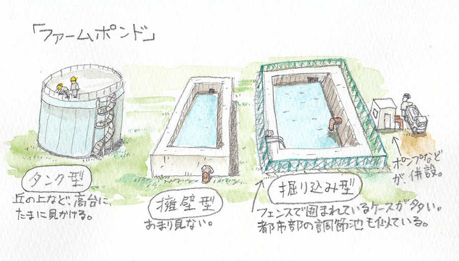 f:id:cippillo:20190507192810j:plain