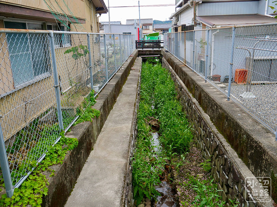 f:id:cippillo:20190509155004j:plain