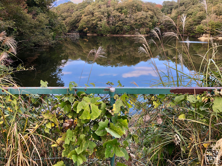 f:id:cippillo:20190510085445j:plain