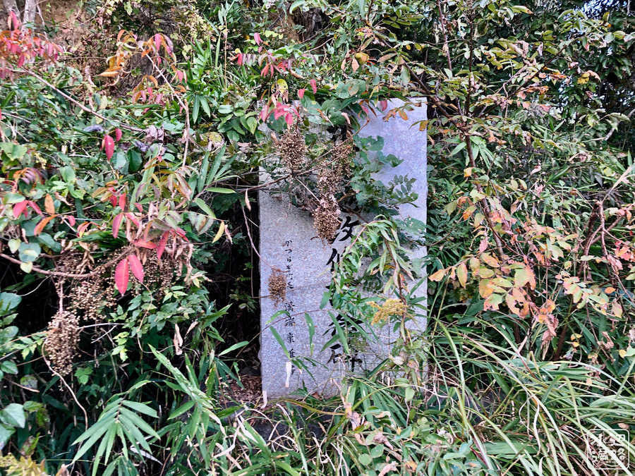f:id:cippillo:20190510085447j:plain