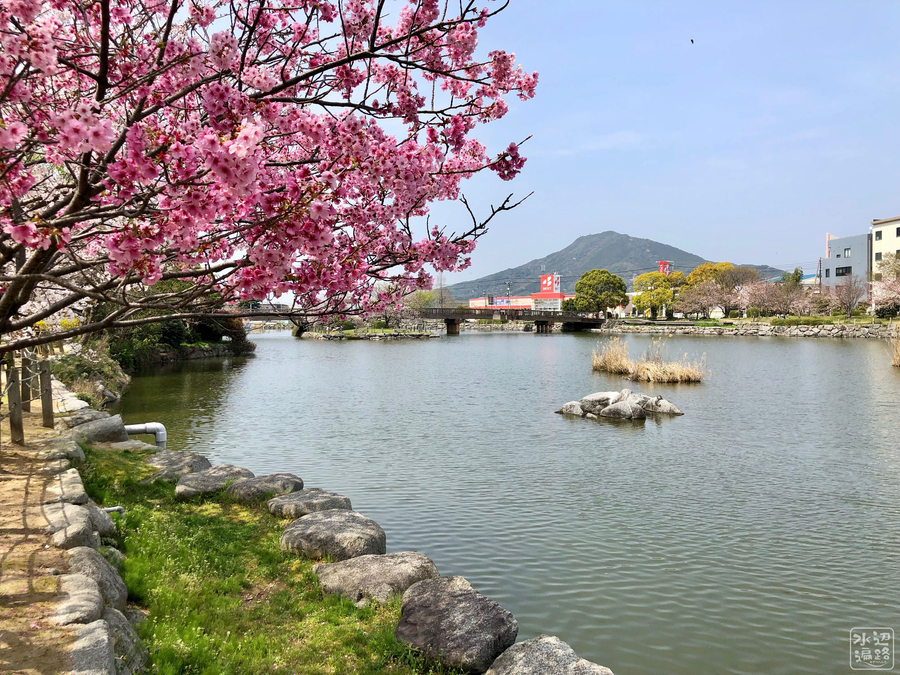 丸田池（福岡県糸島） - 水辺遍路