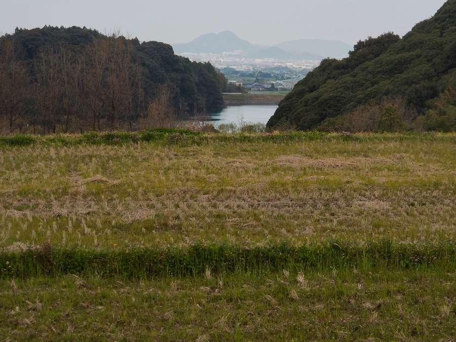 f:id:cippillo:20190511133243j:plain