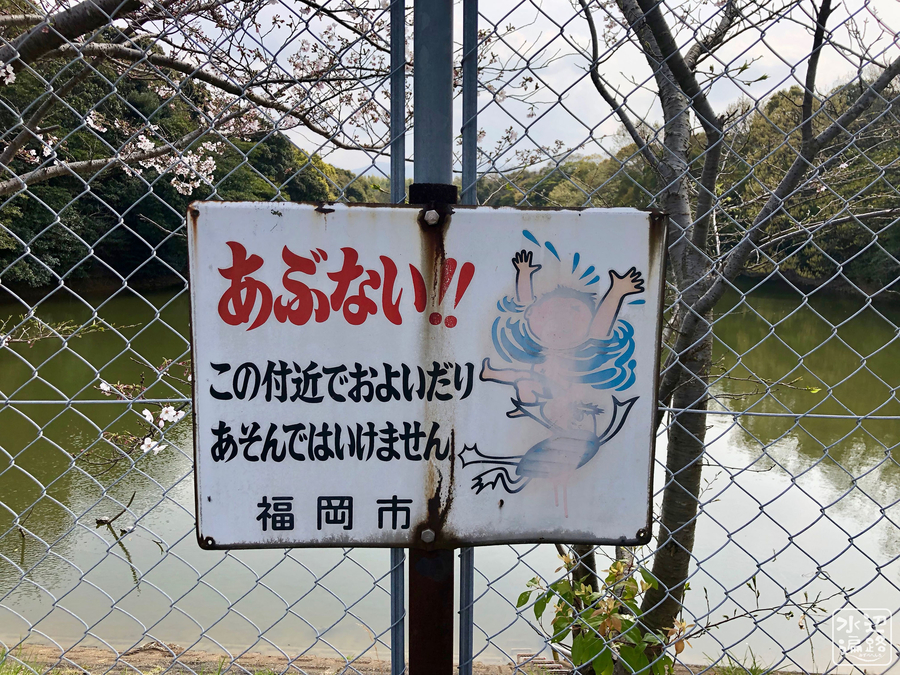 f:id:cippillo:20190513102903j:plain