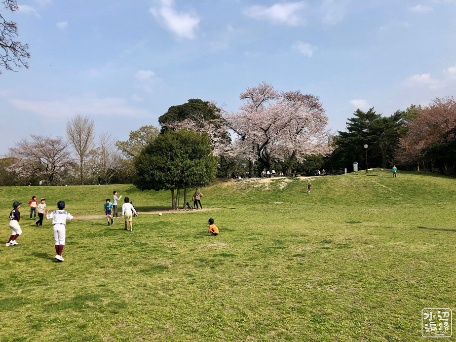 f:id:cippillo:20190513102910j:plain