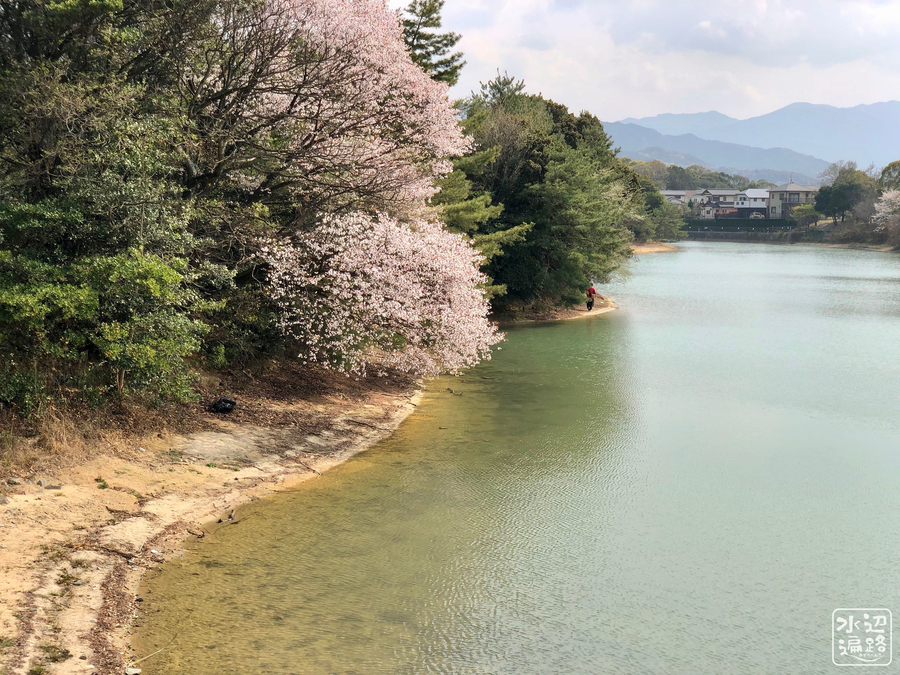 f:id:cippillo:20190513102911j:plain