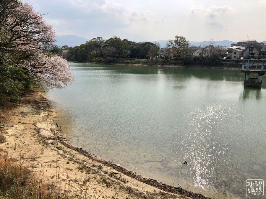 f:id:cippillo:20190513102914j:plain