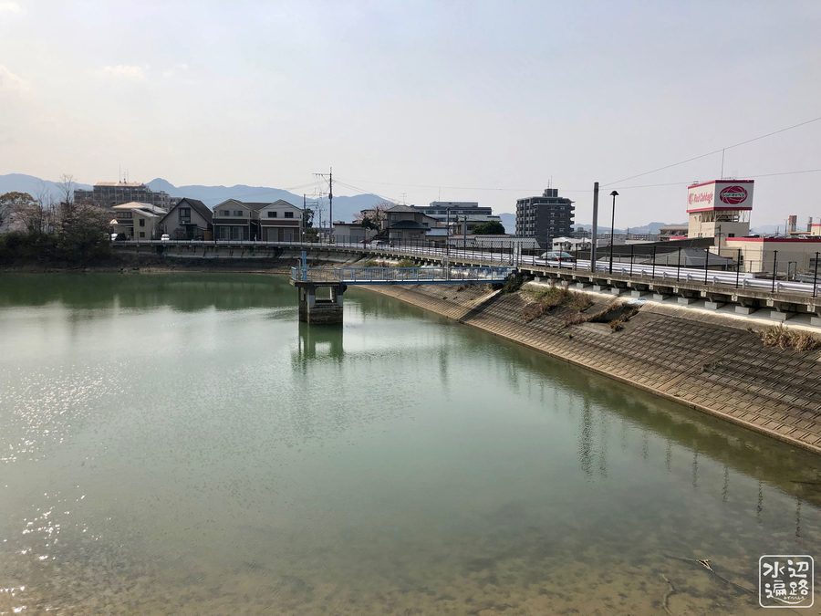 f:id:cippillo:20190513102915j:plain