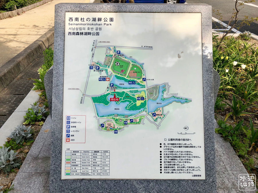 f:id:cippillo:20190513102917j:plain