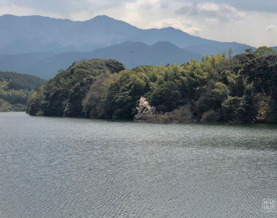 f:id:cippillo:20190517155006j:plain f:id:cippillo:20190517155006j:plain
