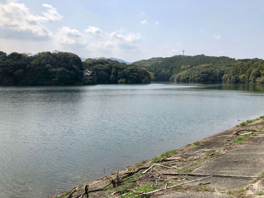 f:id:cippillo:20190517155009j:plain f:id:cippillo:20190517155009j:plain