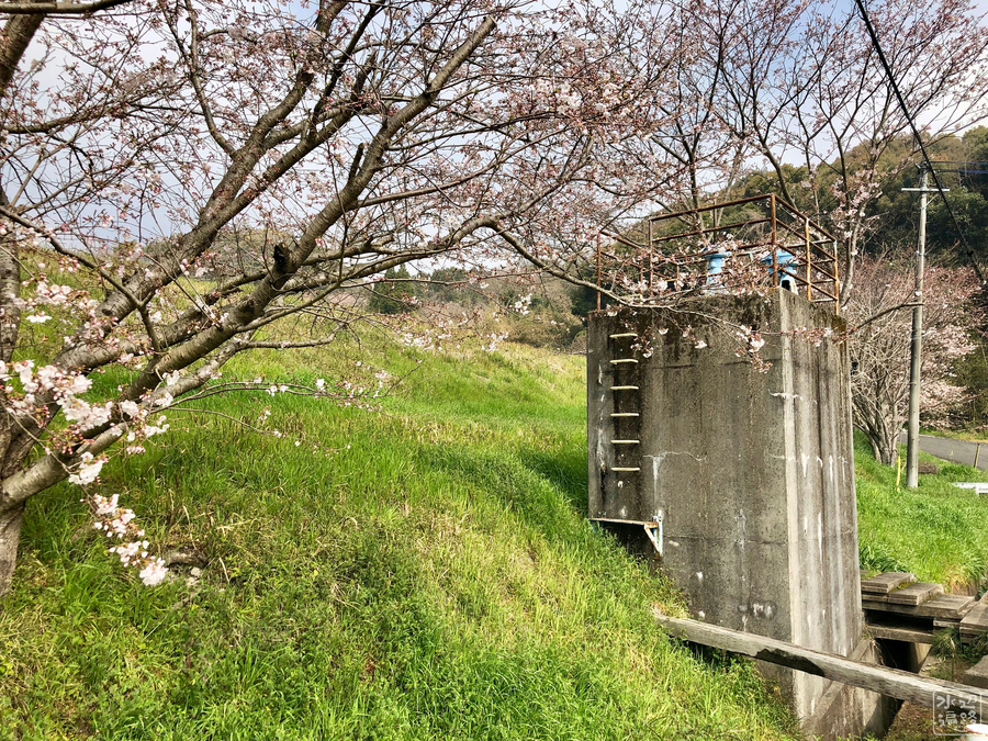 f:id:cippillo:20190519112139j:plain