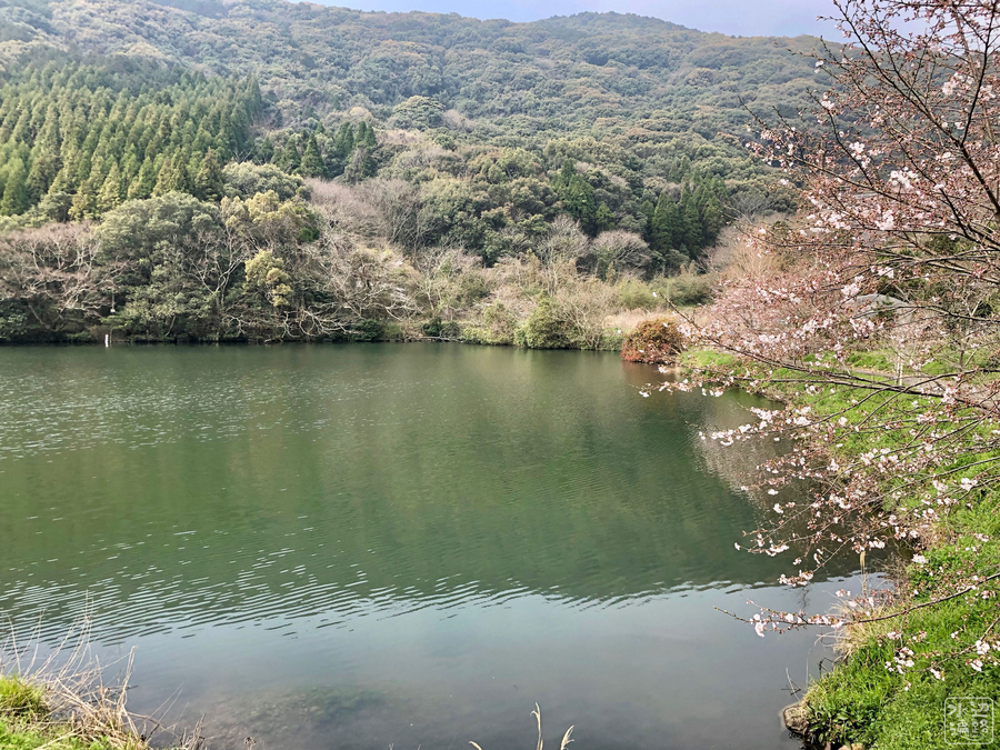 f:id:cippillo:20190519112143j:plain