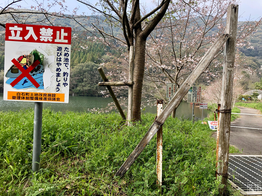 f:id:cippillo:20190519112145j:plain