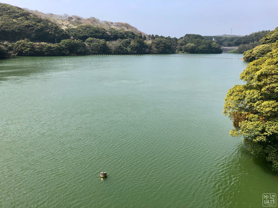 f:id:cippillo:20190522073741j:plain f:id:cippillo:20190522073741j:plain