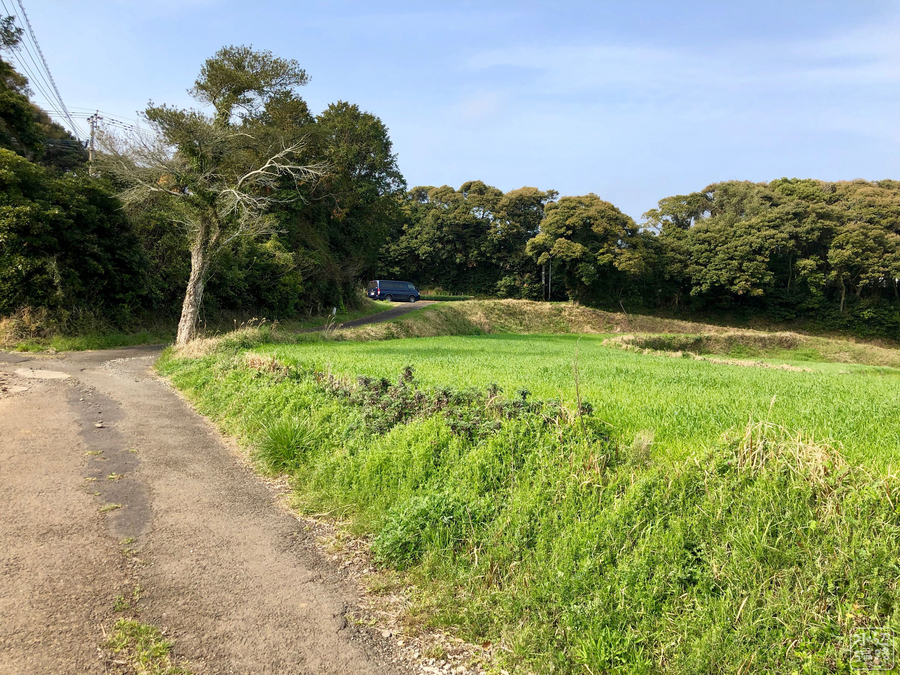 f:id:cippillo:20190523213437j:plain