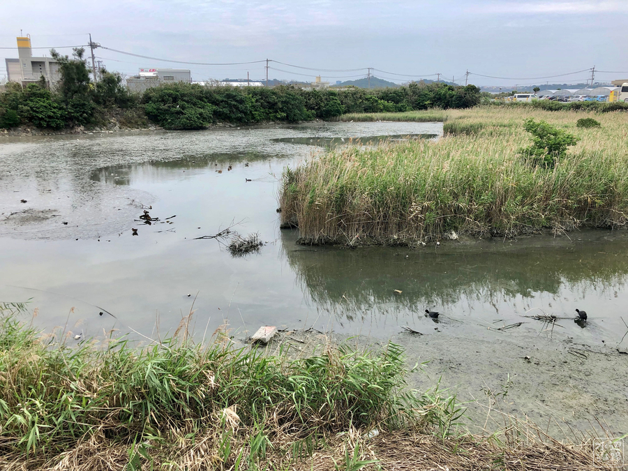 f:id:cippillo:20190525140253j:plain f:id:cippillo:20190525140253j:plain