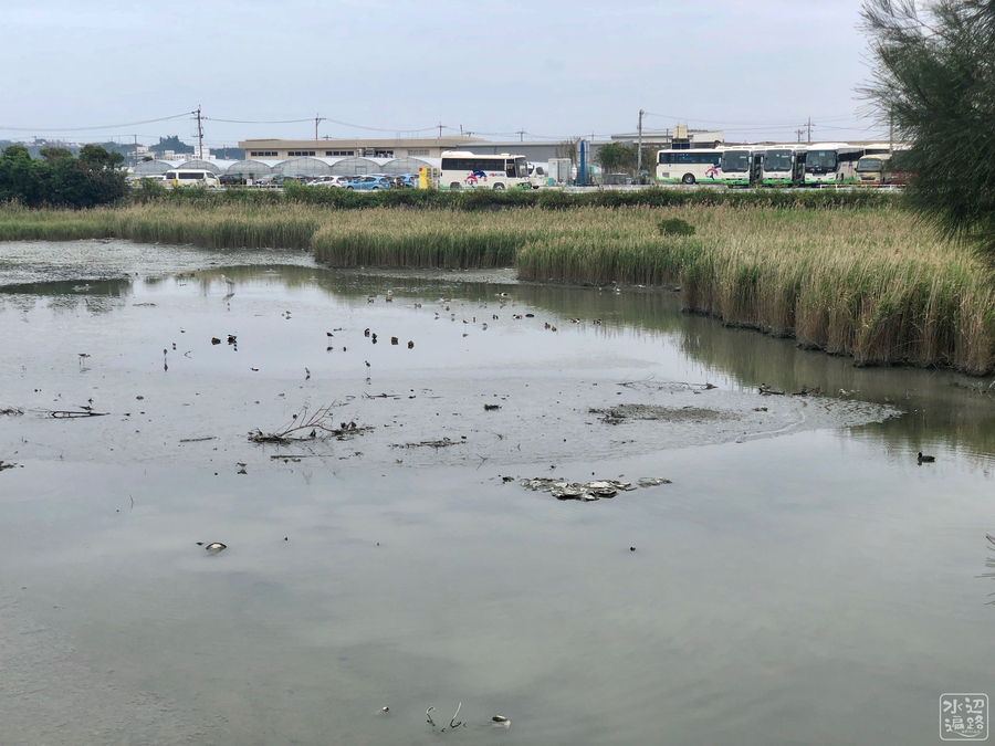 f:id:cippillo:20190525140254j:plain f:id:cippillo:20190525140254j:plain