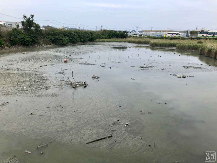 f:id:cippillo:20190525140255j:plain f:id:cippillo:20190525140255j:plain