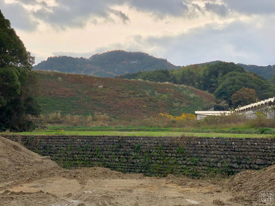 f:id:cippillo:20190603222551j:plain