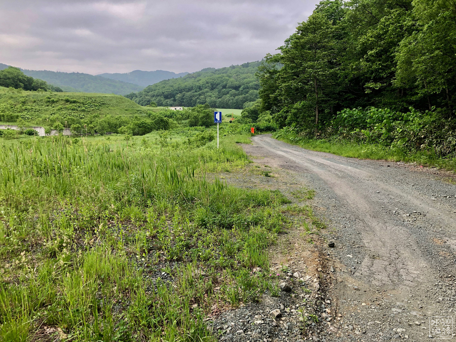 f:id:cippillo:20190609193639j:plain