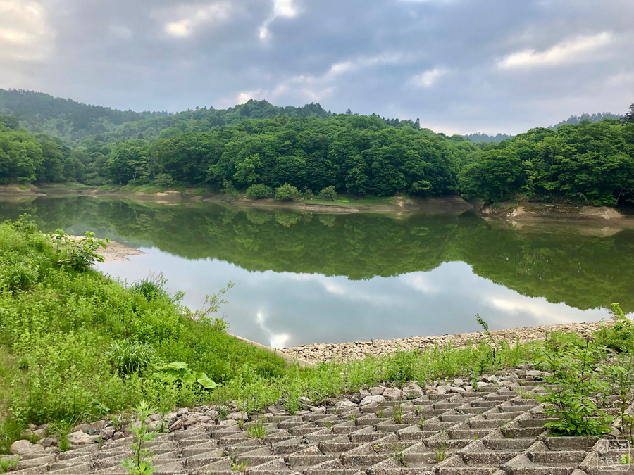 f:id:cippillo:20190609193641j:plain