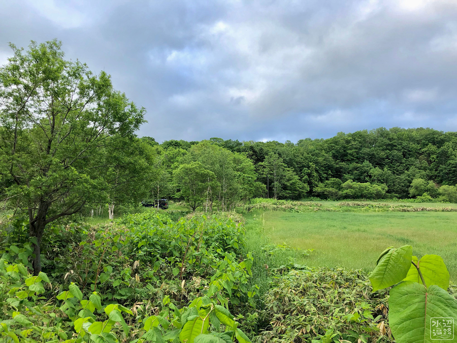f:id:cippillo:20190612044737j:plain f:id:cippillo:20190612044737j:plain