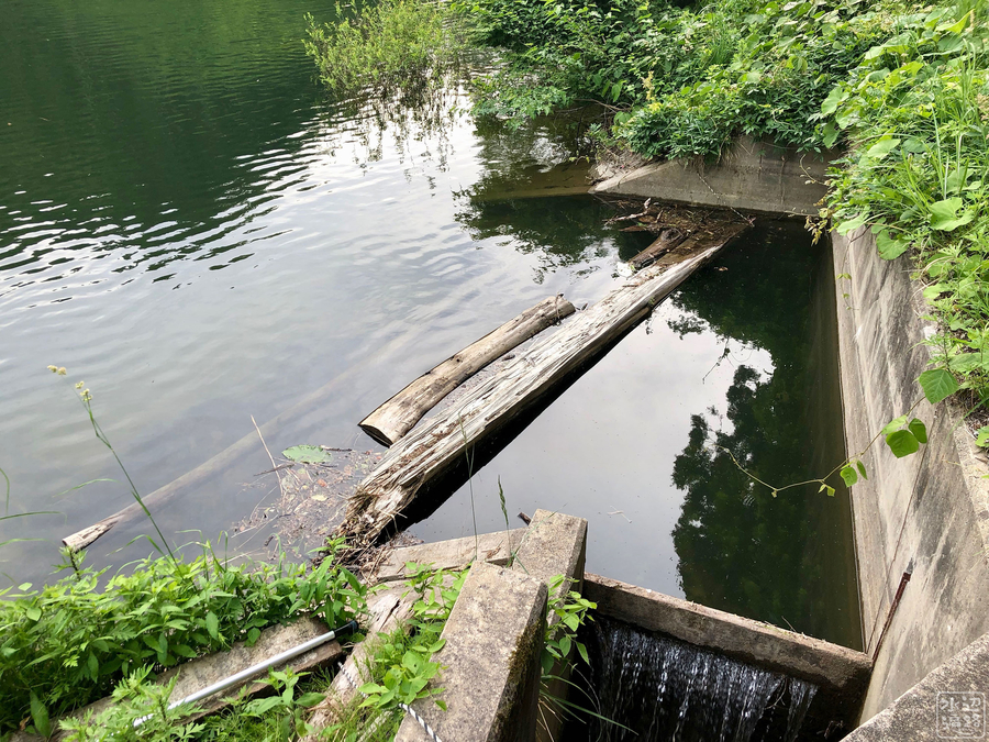 f:id:cippillo:20190616082136j:plain f:id:cippillo:20190616082136j:plain