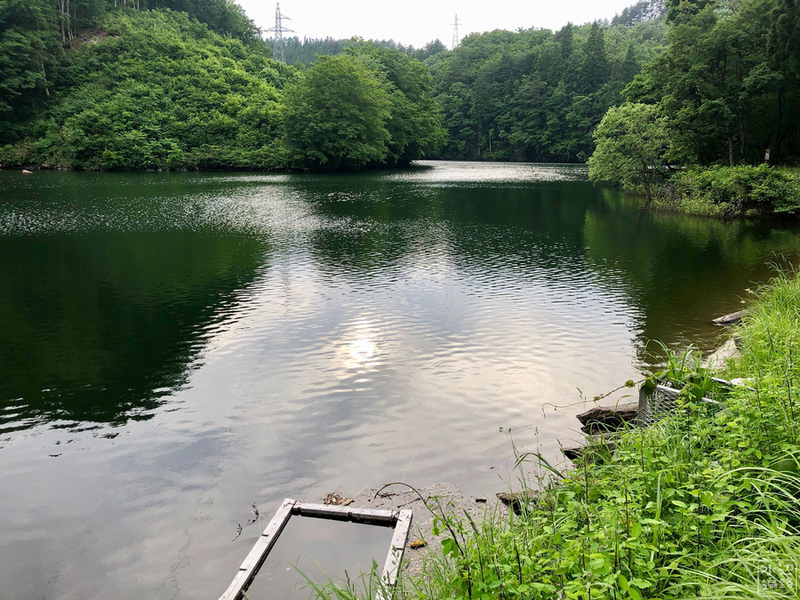 f:id:cippillo:20190616082137j:plain f:id:cippillo:20190616082137j:plain