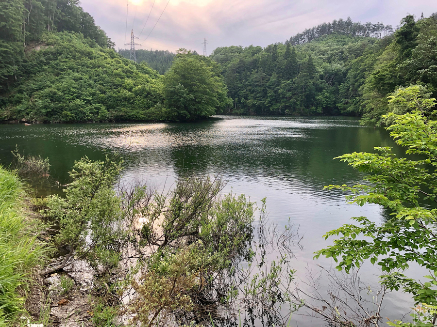 f:id:cippillo:20190616082139j:plain f:id:cippillo:20190616082139j:plain
