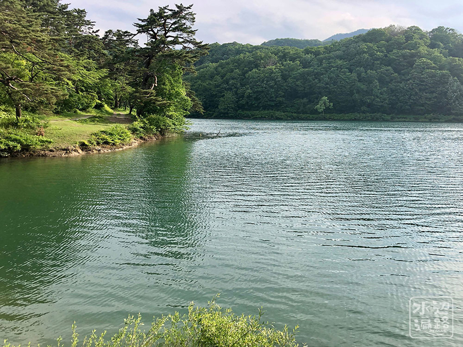 f:id:cippillo:20190616103412j:plain