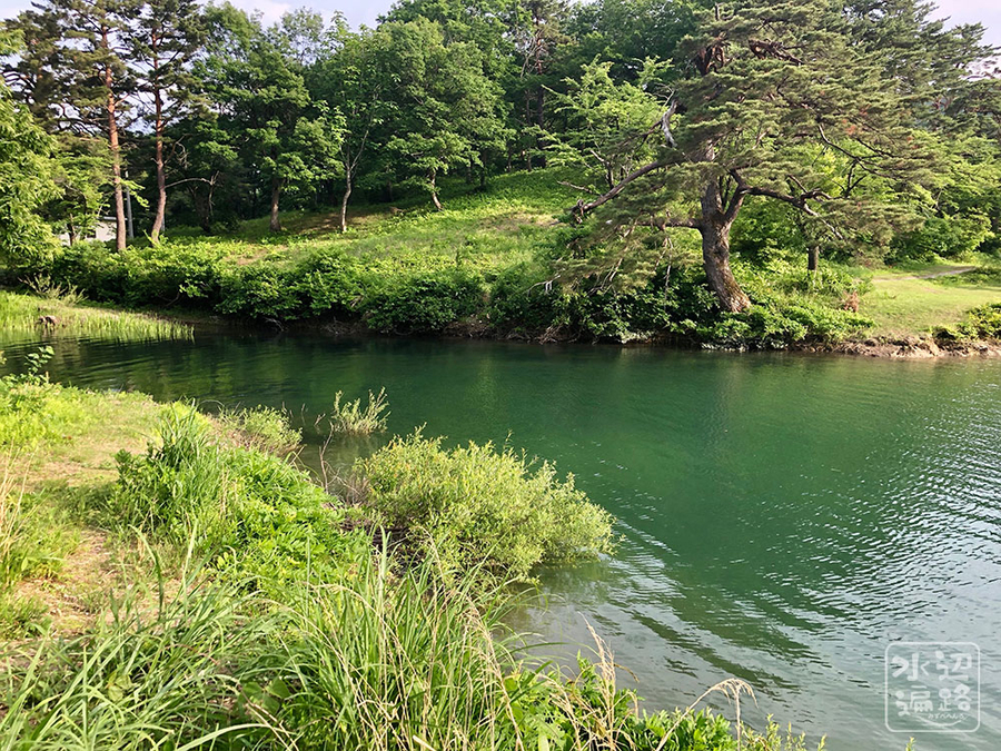 f:id:cippillo:20190616103413j:plain