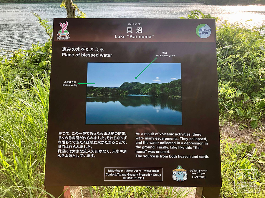 f:id:cippillo:20190616103414j:plain