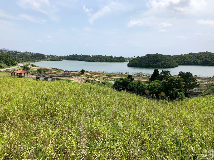 f:id:cippillo:20190616103501j:plain f:id:cippillo:20190616103501j:plain