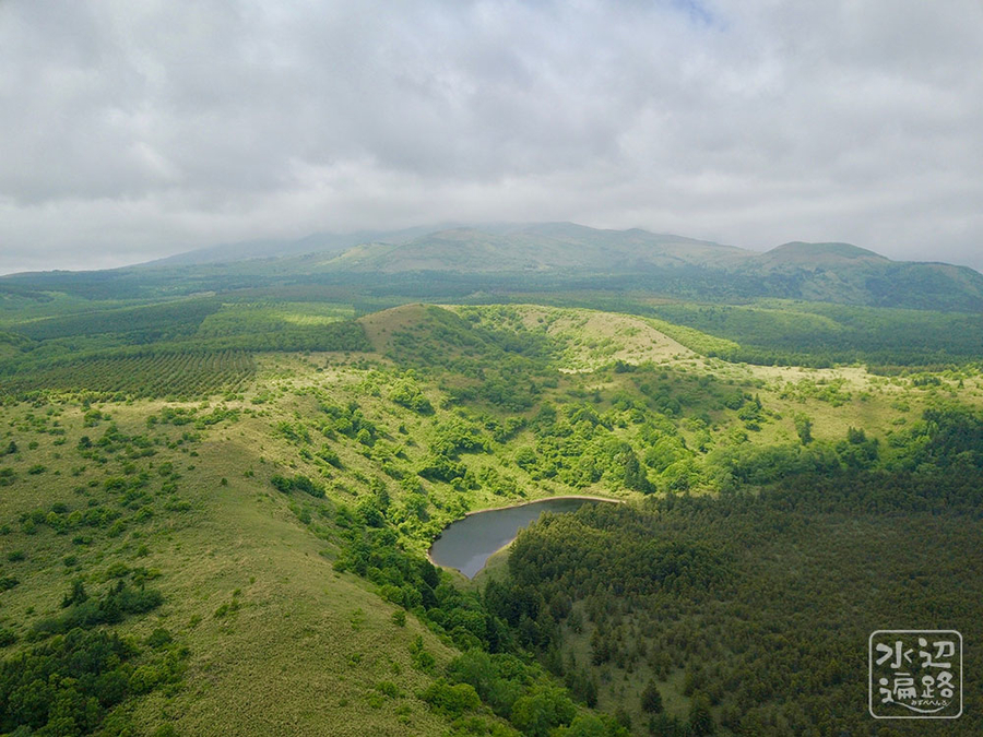 油絵 青嵐の利尻岳（オタトマリ沼)Ｆ3 油絵 青嵐の利尻岳（オタトマリ沼)F3 オタトマリ沼 | 利尻島｜りし