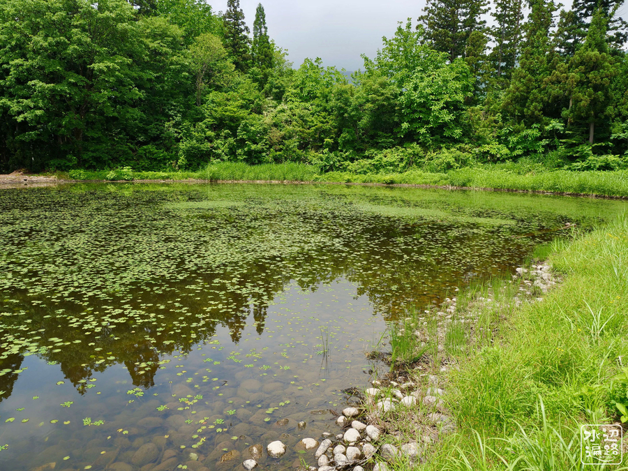 f:id:cippillo:20190621085714j:plain