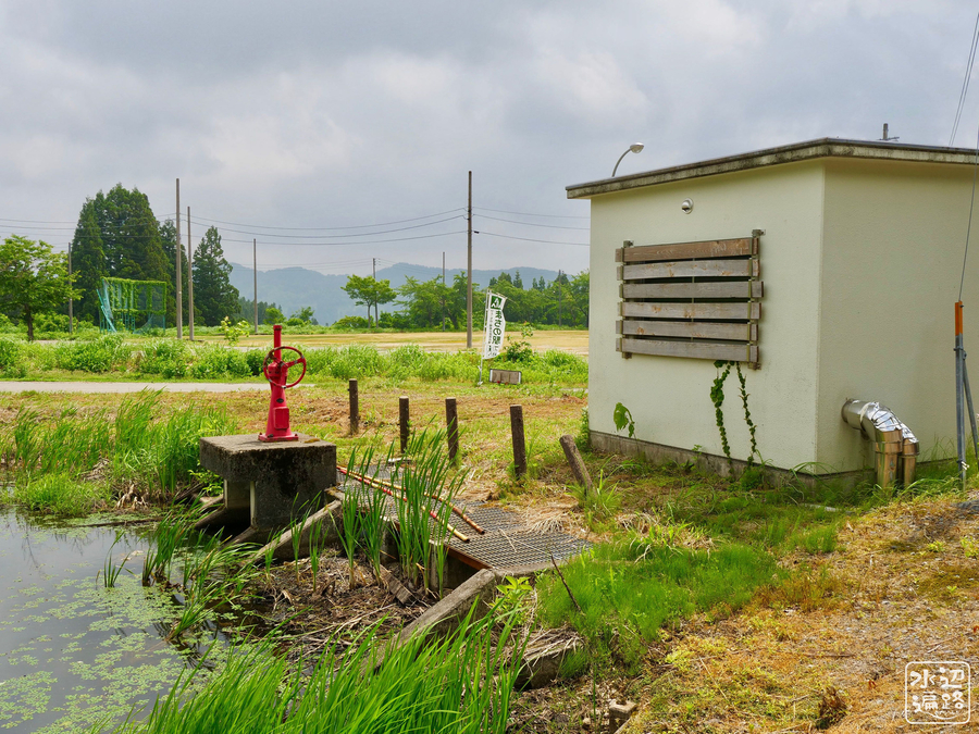 f:id:cippillo:20190621085757j:plain