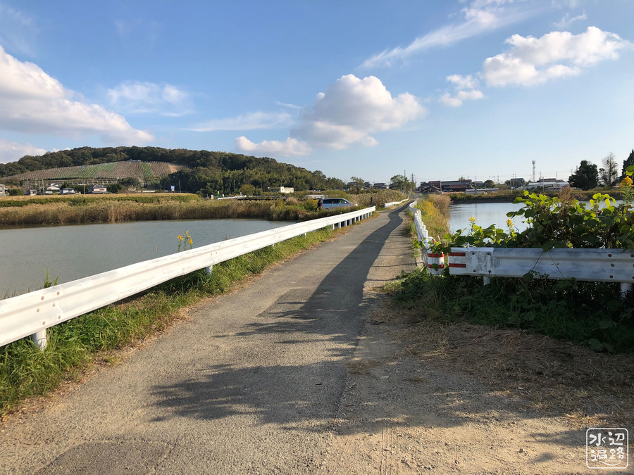 f:id:cippillo:20190701114640j:plain